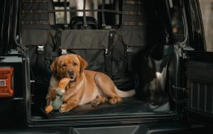 XG Cargo Sportsman Floor Liner JKU ( Speaker on Right Sidewall)