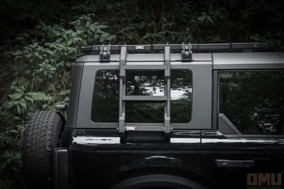 OMU FORD BRONCO: Genesis Aluminum Rear Window Side Ladder SKU GSL-FB-20277