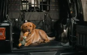 XG Cargo Sportsman Floor Liner JKU ( Speaker on Right Sidewall) SKU XG-303