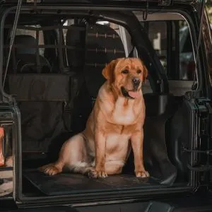 XG Cargo Sportsman JKU Floor Liner (Speaker in Floor) SKU XG-302